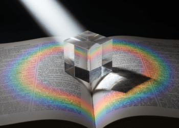 A suspension bridge stretching over water and disappearing into soft white fog, representing the uncertain but necessary journey of healing in bittersweet narratives.